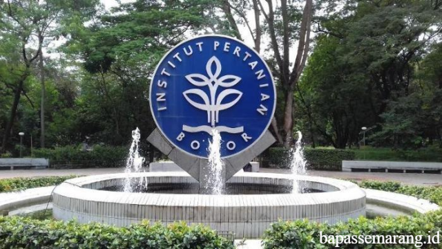 Inilah Rekomendasi Jurusan Favorit di IPB Bogor